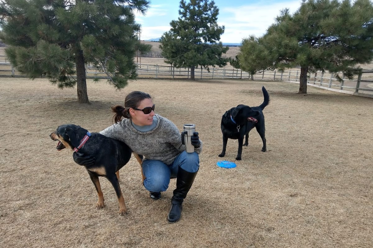 Bayou Gulch Dog Park featured offerings