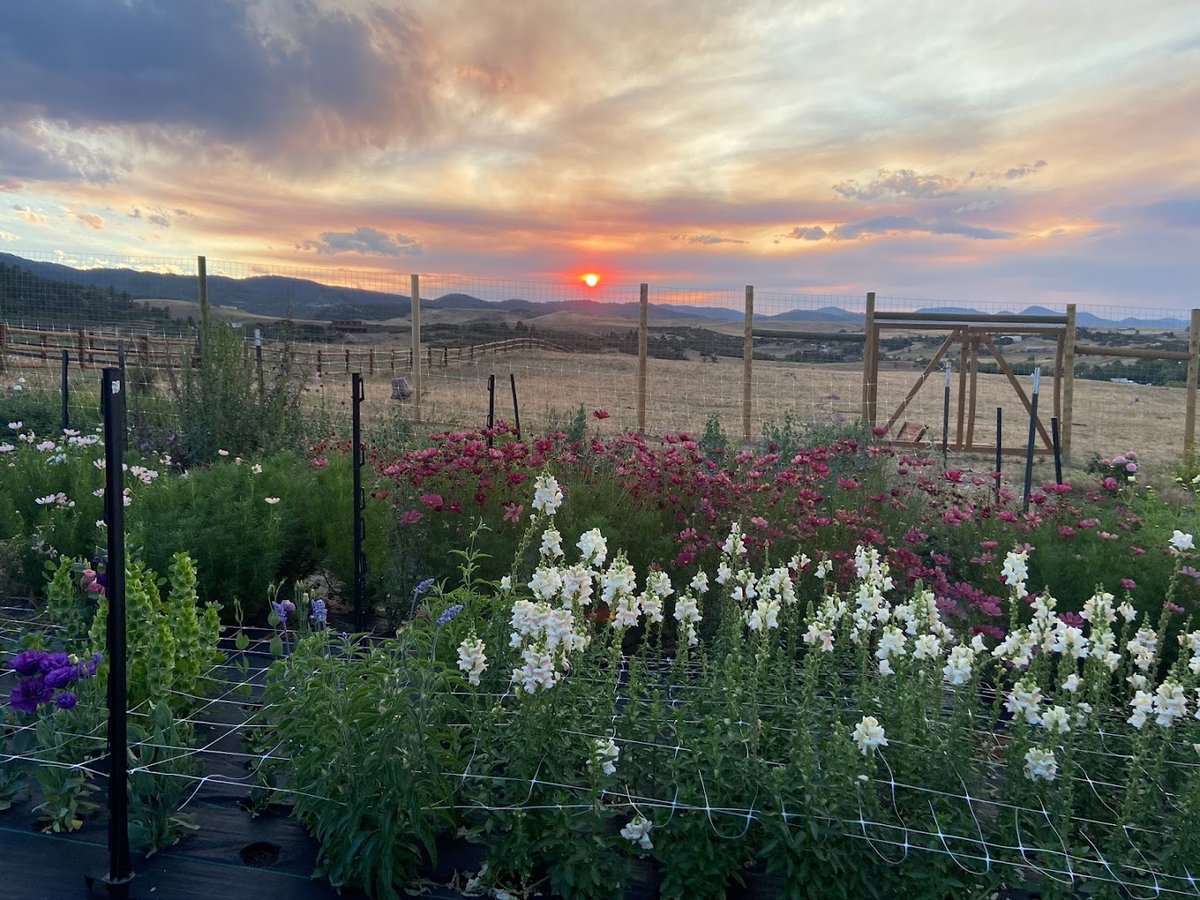 Interior view of Rustic Rose Flower Farm & Design
