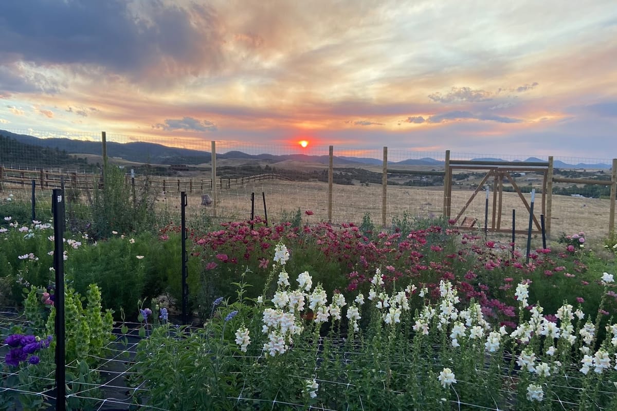 Interior view of Rustic Rose Flower Farm & Design