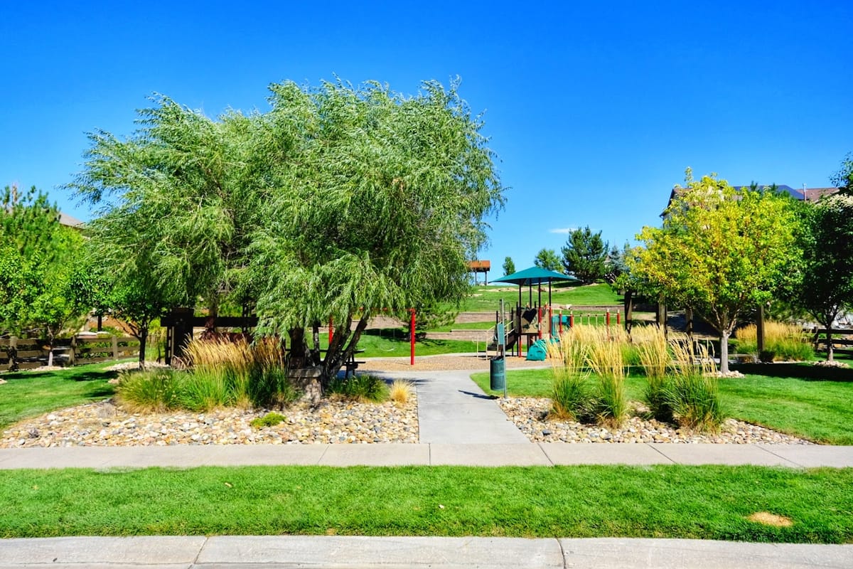 Interior view of Skylark Park