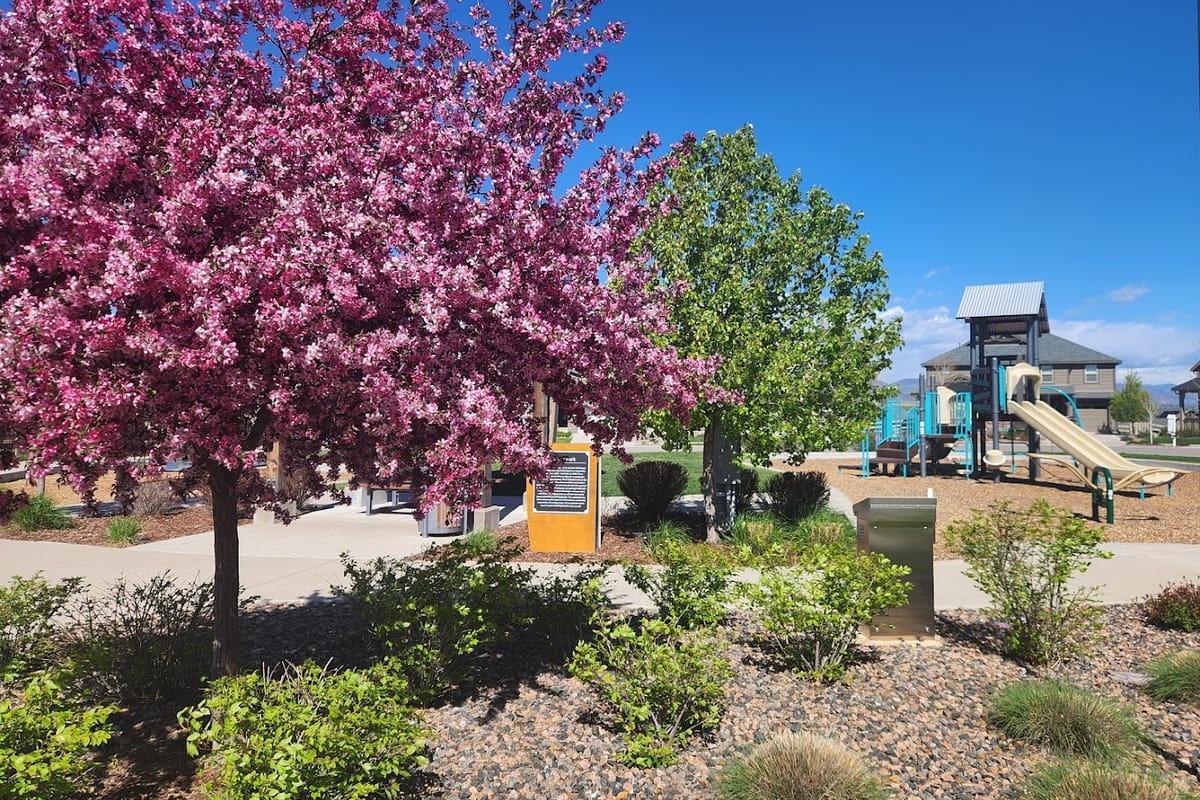 Interior view of Pioneer Park