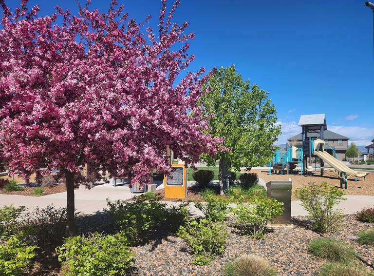Interior view of Pioneer Park