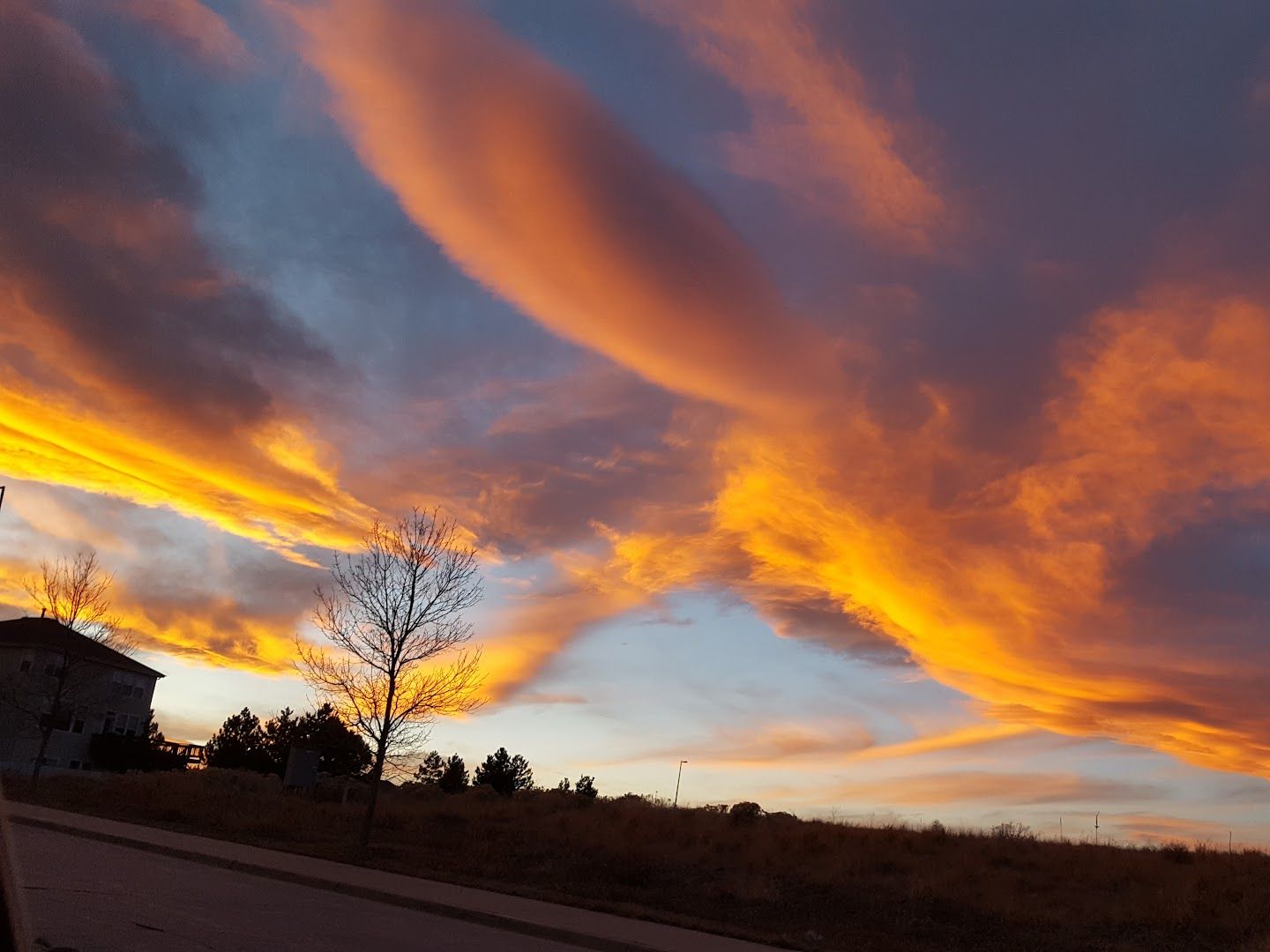 Coyote Ridge Park park in Castle Pines, Colorado