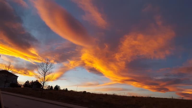Castle Pines Food Truck Frenzy 2026 at Coyote Ridge Park