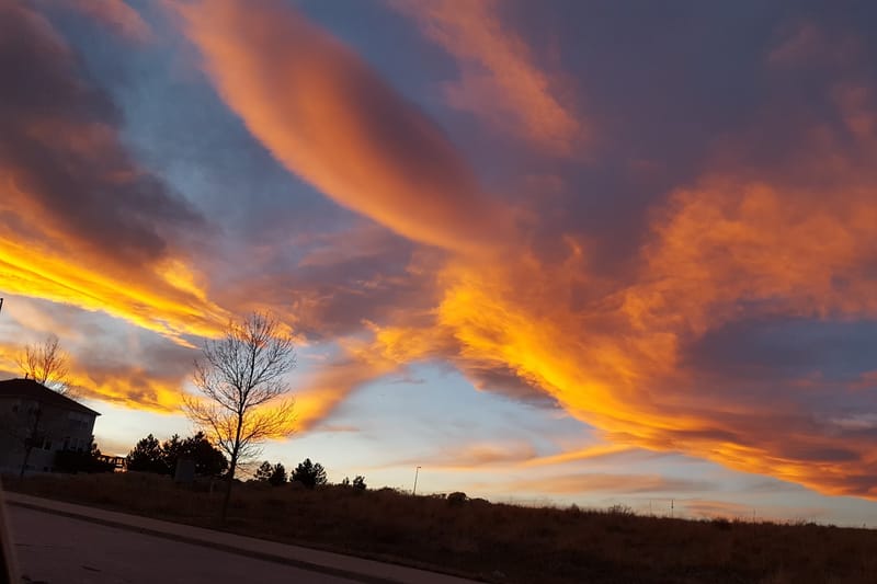 Coyote Ridge Park park in Castle Pines, Colorado