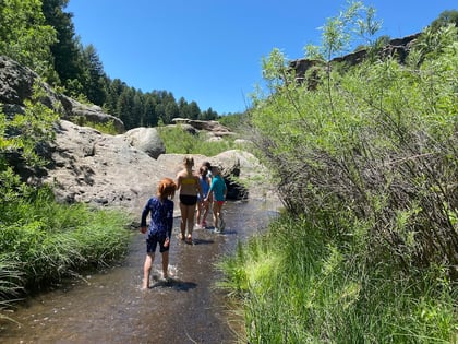 Lake Gulch Trail in Franktown, Colorado