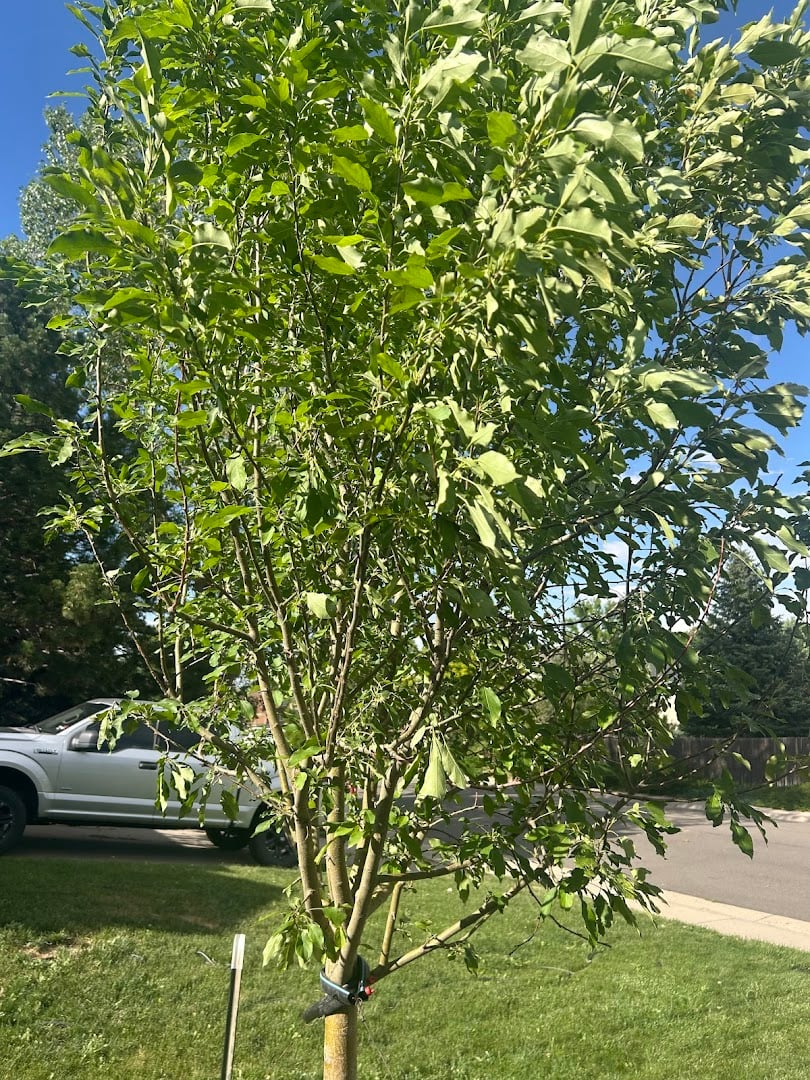 Front Range Landscape and Nursery exterior entrance