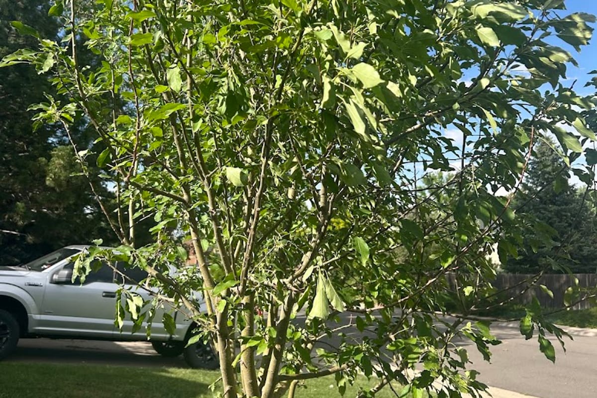 Front Range Landscape and Nursery exterior entrance