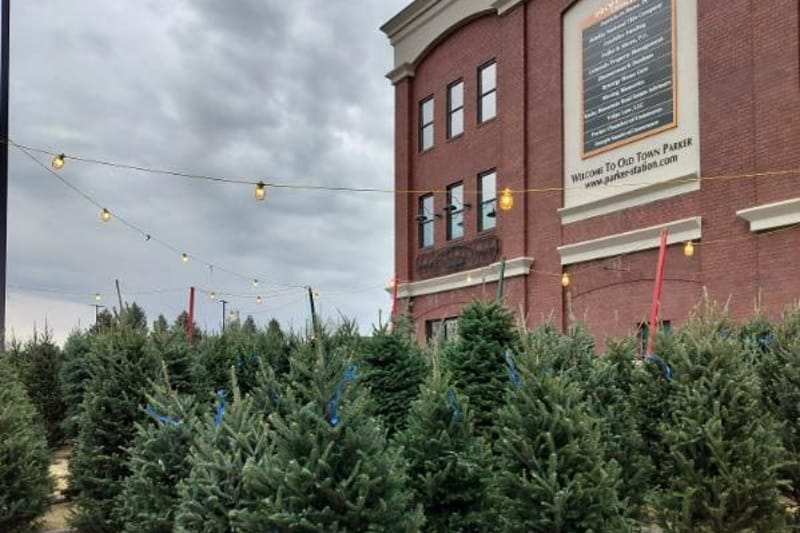 Mr. Jingles Christmas Trees retail store in Parker, Colorado