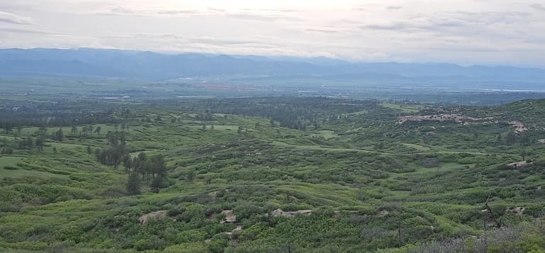 Interior view of Daniels Park