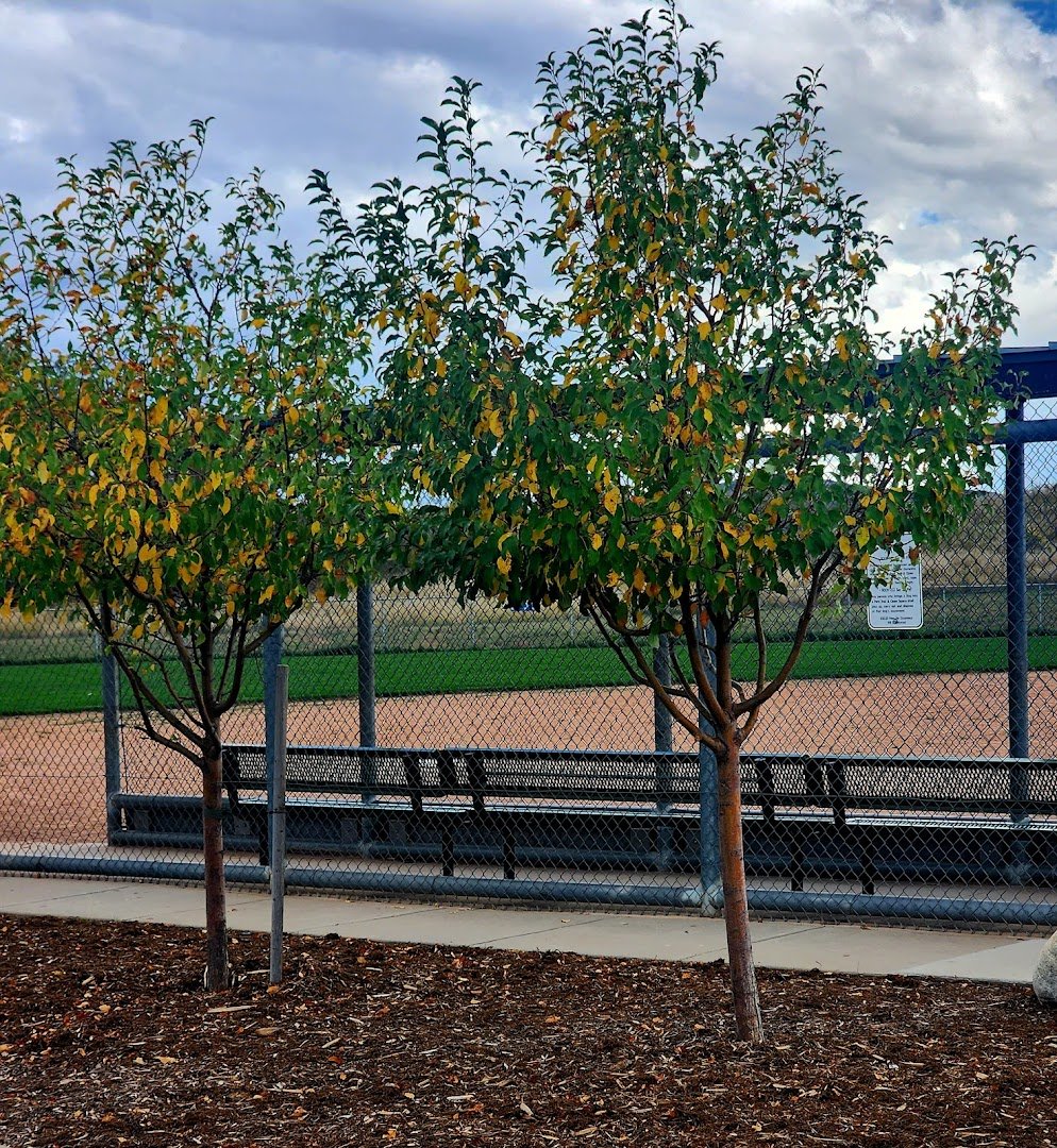 Du Pont Park atmosphere and seating