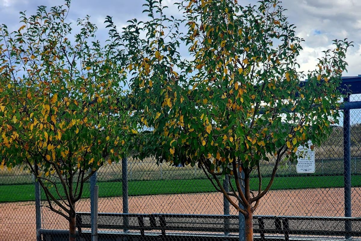 Du Pont Park atmosphere and seating