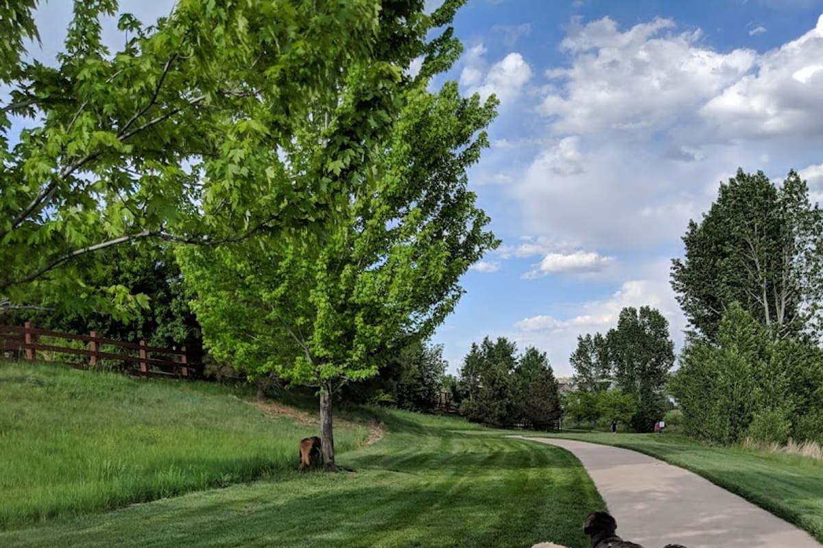 Aventerra Park featured offerings