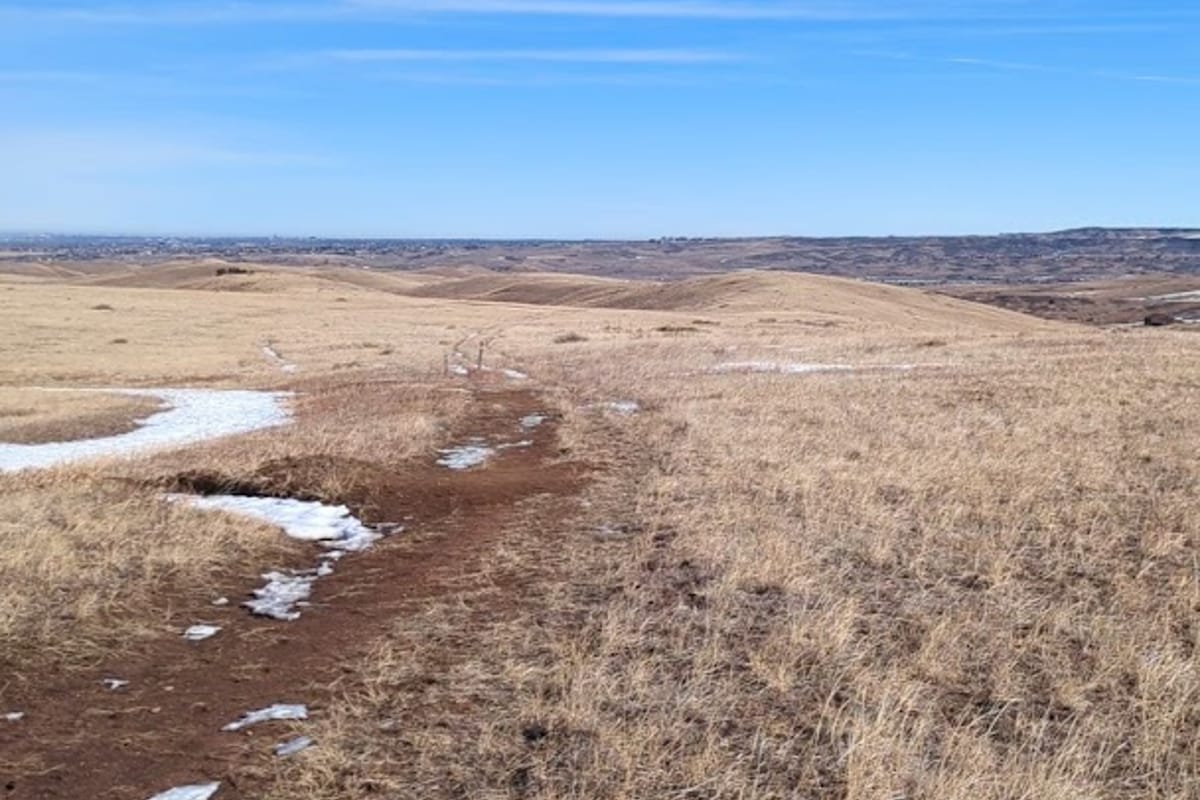Interior view of Sharptail Ridge Open Space
