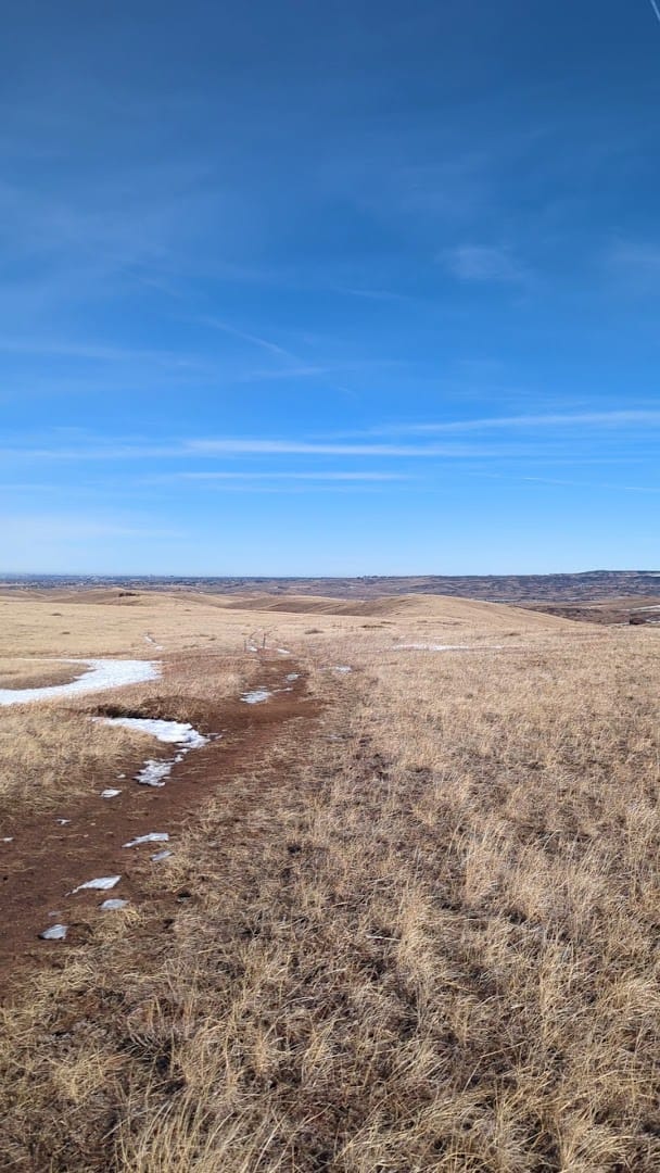 Interior view of Sharptail Ridge Open Space