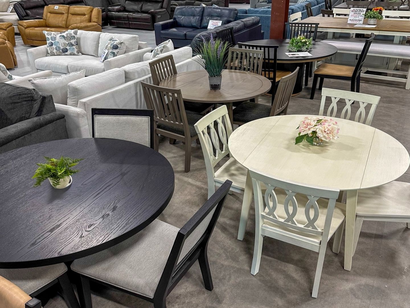 BoxDrop Mattress & Furniture Castle Rock, CO retail store in Castle Rock, Colorado