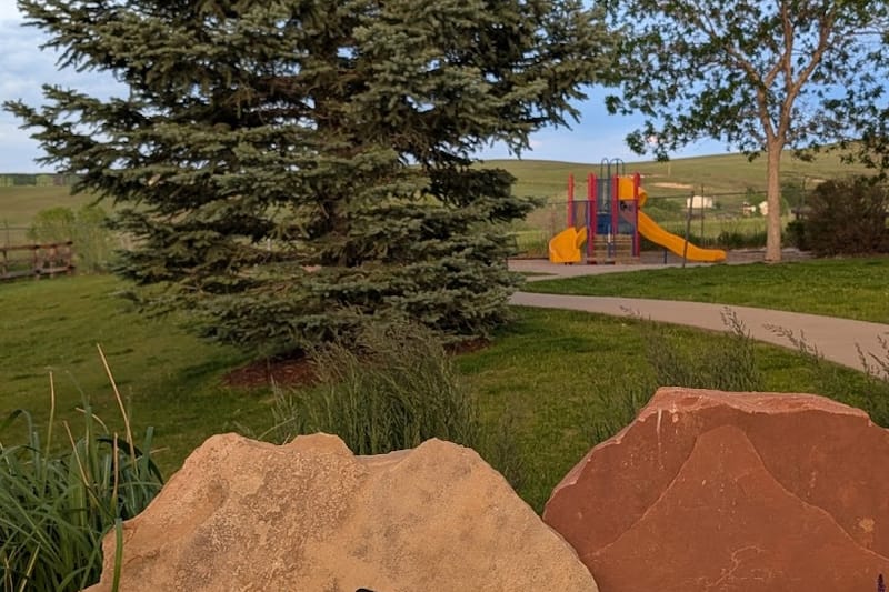 Mule Deer Park park in Littleton, Colorado