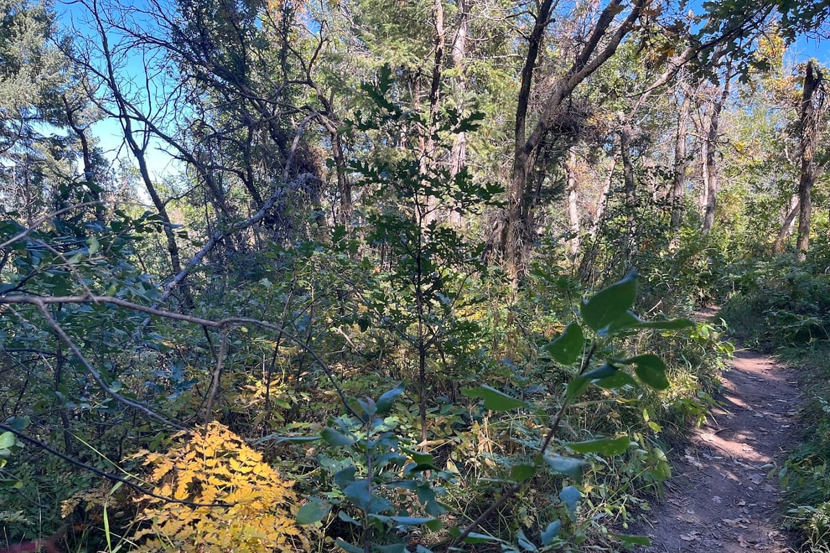 Carpenter Peak exterior entrance