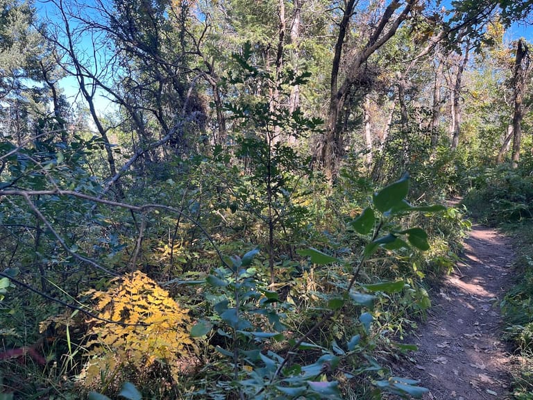 Carpenter Peak exterior entrance