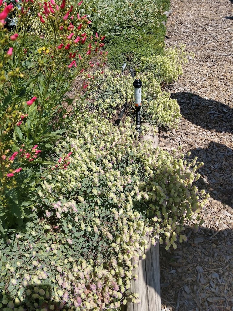 Interior view of Sedalia Museum and Gardens