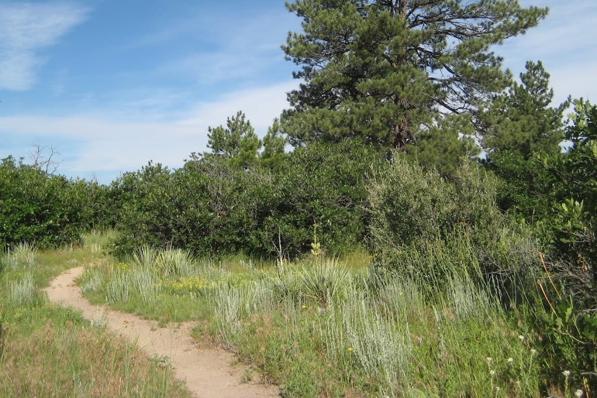 Memmen Ridge Open Space featured offerings