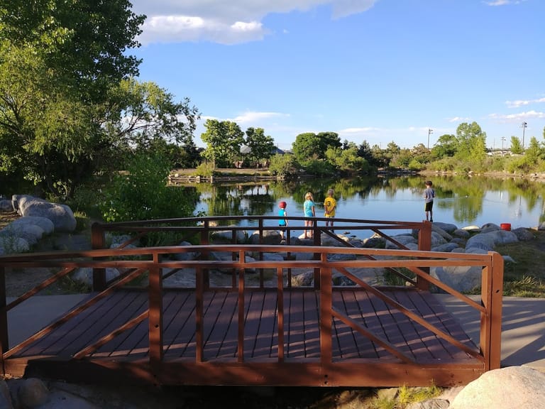Paul's Pond featured offerings