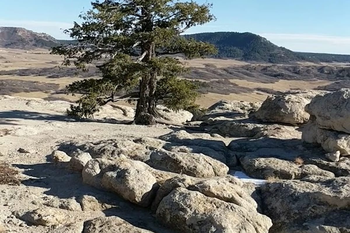 Interior view of Spruce Mountain Open Space Trail