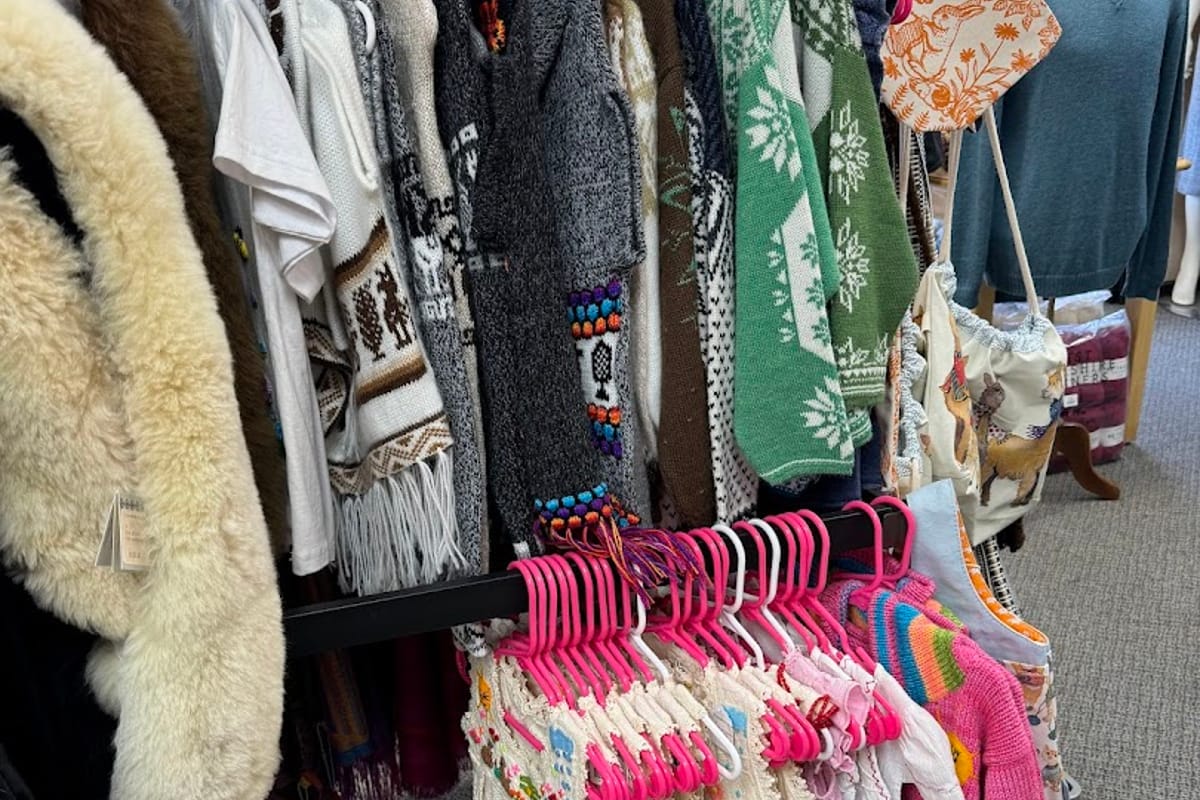 Everything Alpaca featured offerings