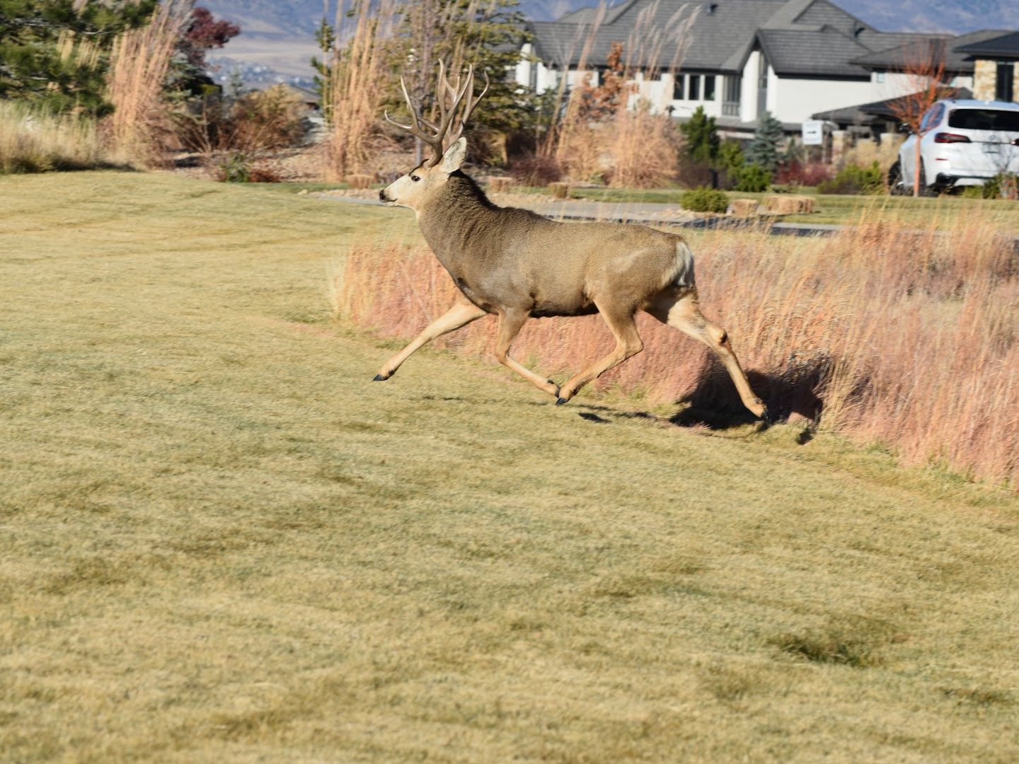 Clover's Little Park park in Littleton, Colorado