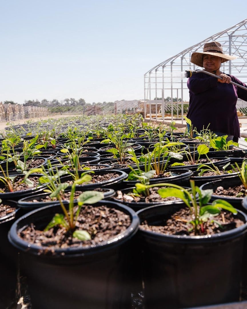 Interior view of Arbor Valley Nursery