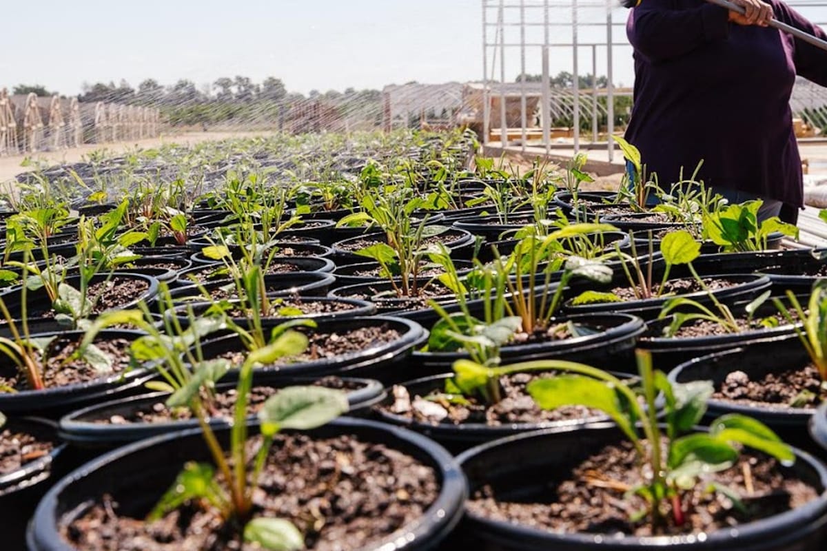 Interior view of Arbor Valley Nursery