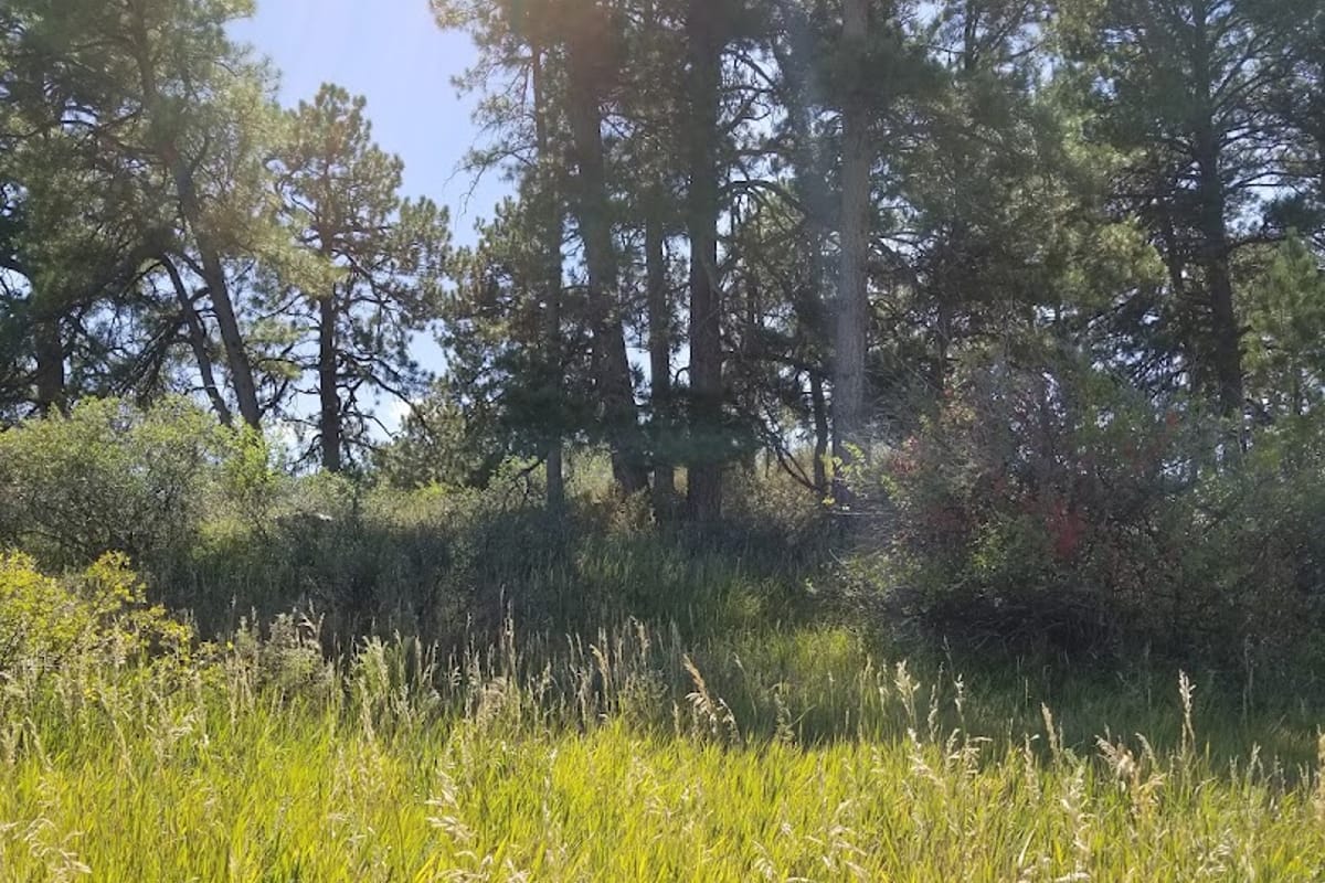 Colorado Golf Club atmosphere and seating
