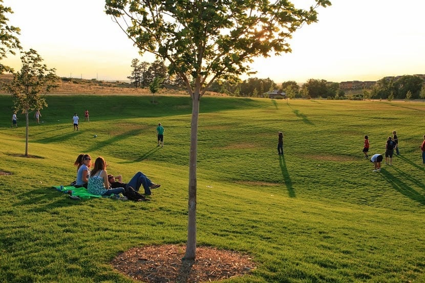 Tallman Meadow Park