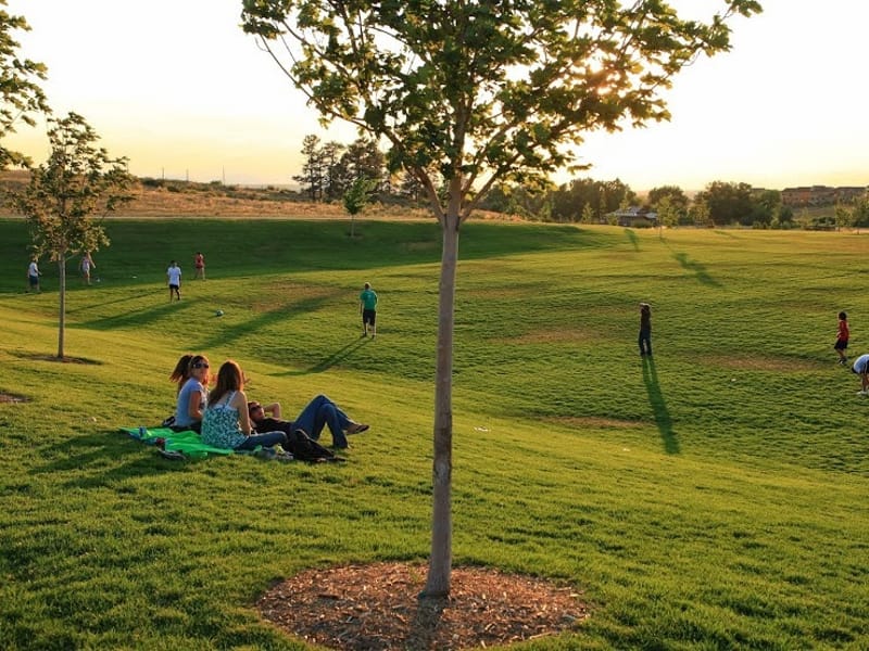 Tallman Meadow Park park in Parker, Colorado