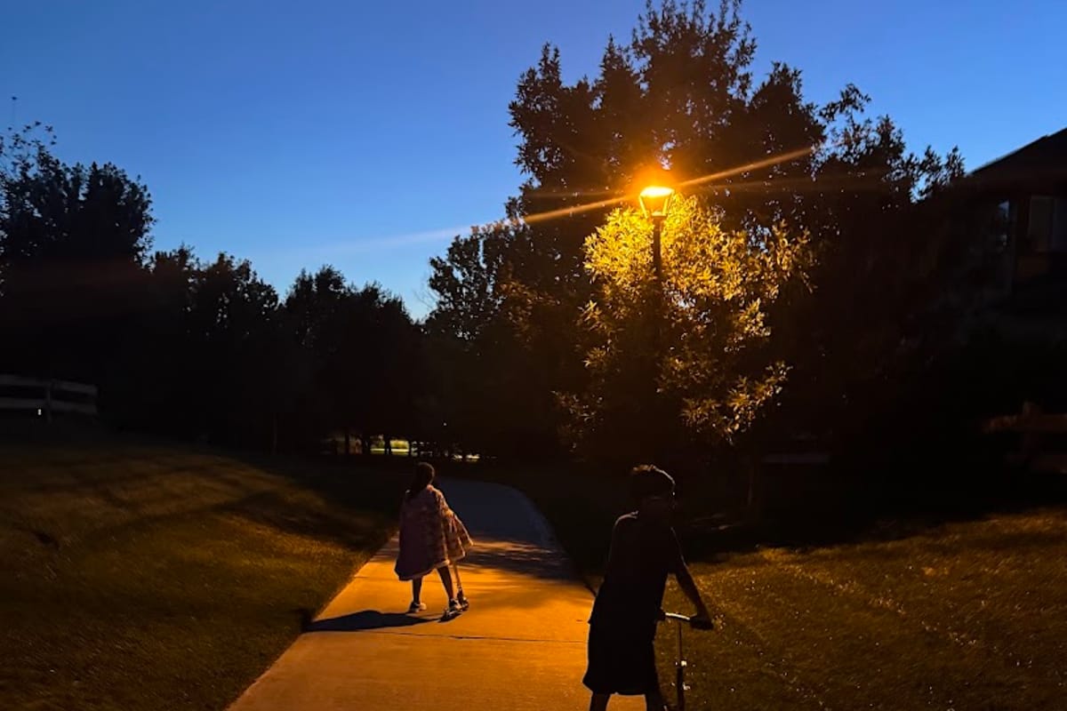 Firelight Park featured offerings