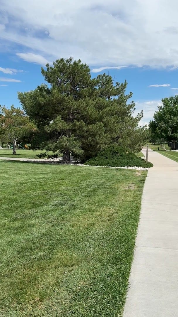 Cottonwood Park West Playground exterior entrance