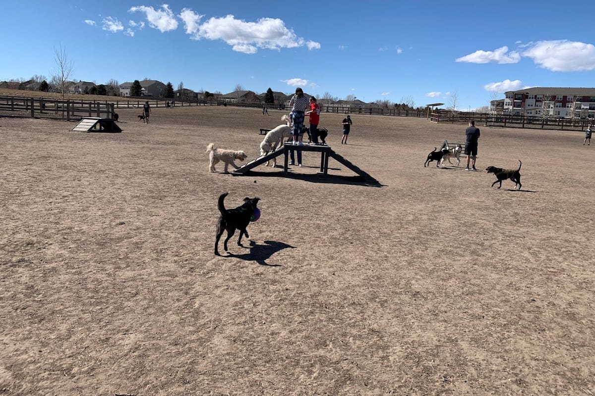 USMC CPL David M. Sonka Dog Park dining area