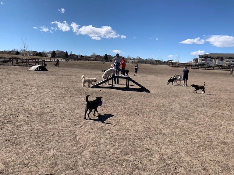 USMC CPL David M. Sonka Dog Park dining area