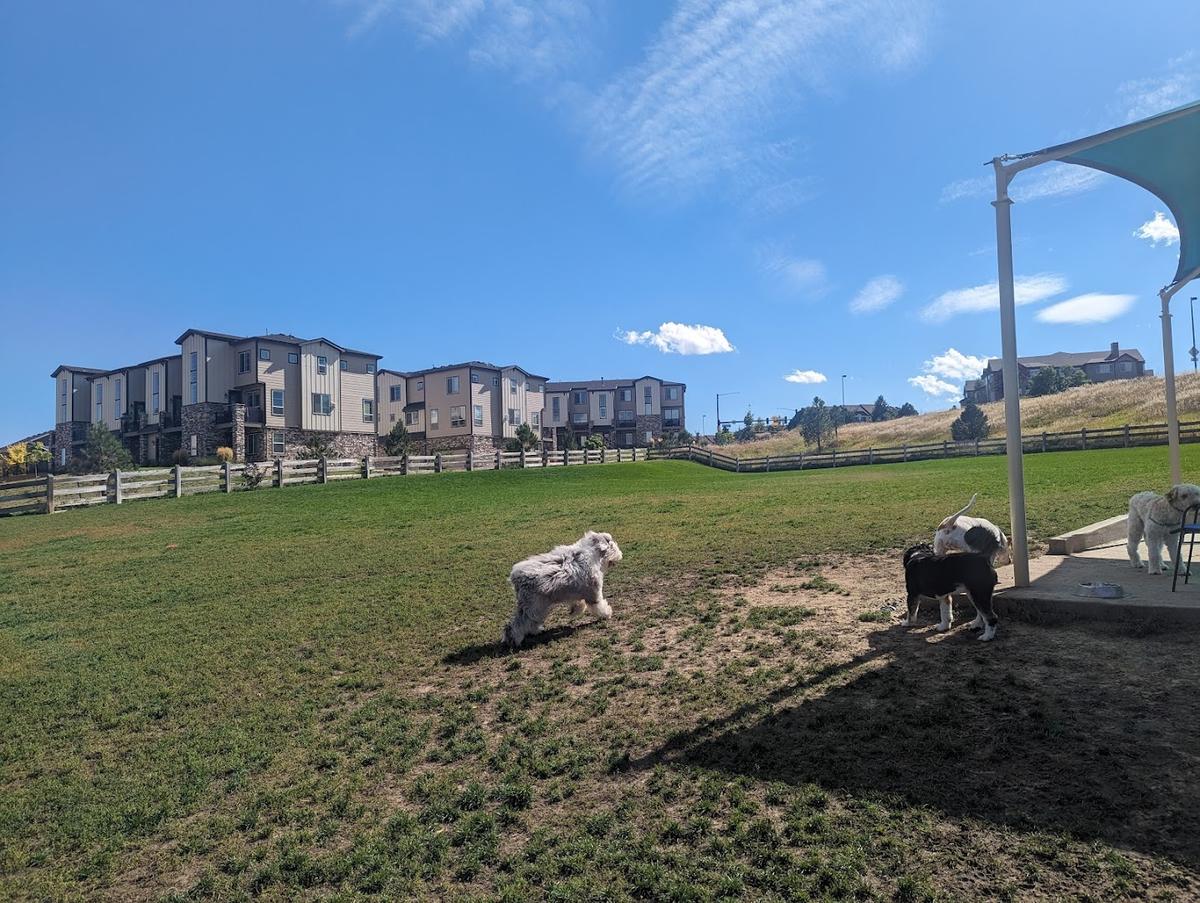 Douglas County Off-leash Area park in Castle Rock, Colorado