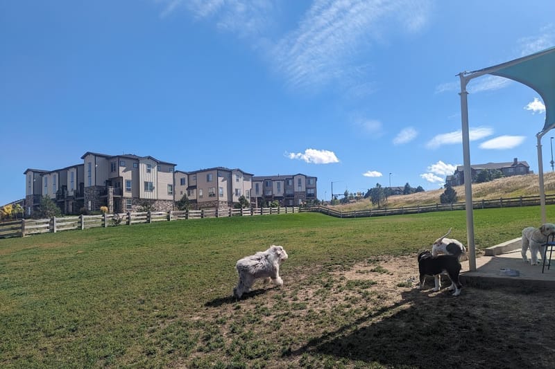 Douglas County Off-leash Area park in Castle Rock, Colorado