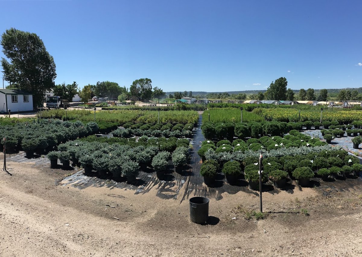 Arbor Valley Nursery atmosphere and seating