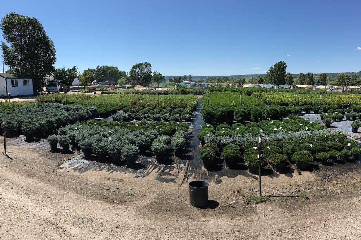 Arbor Valley Nursery atmosphere and seating