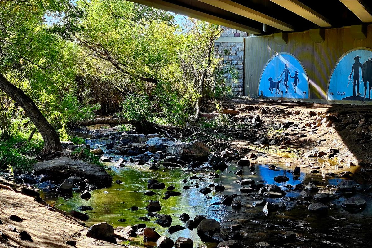 Sellars Gulch Trail featured offerings