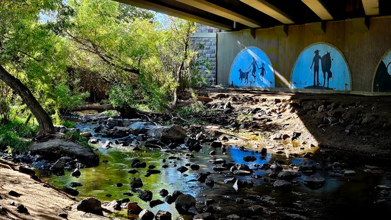 Sellars Gulch Trail featured offerings