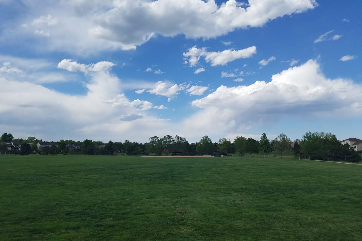 Interior view of Falcon Park