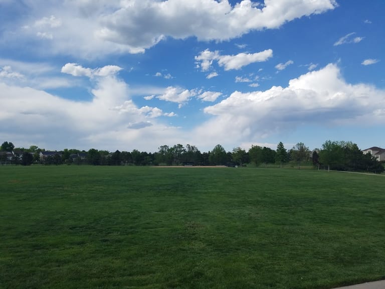 Interior view of Falcon Park