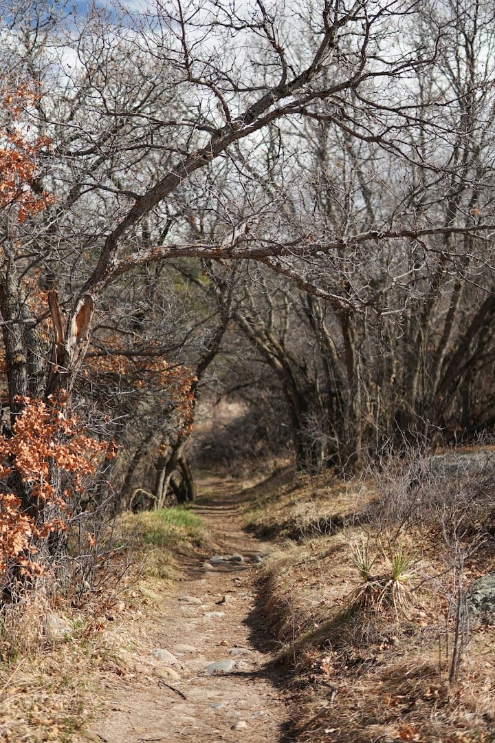 Homestead Trail featured offerings