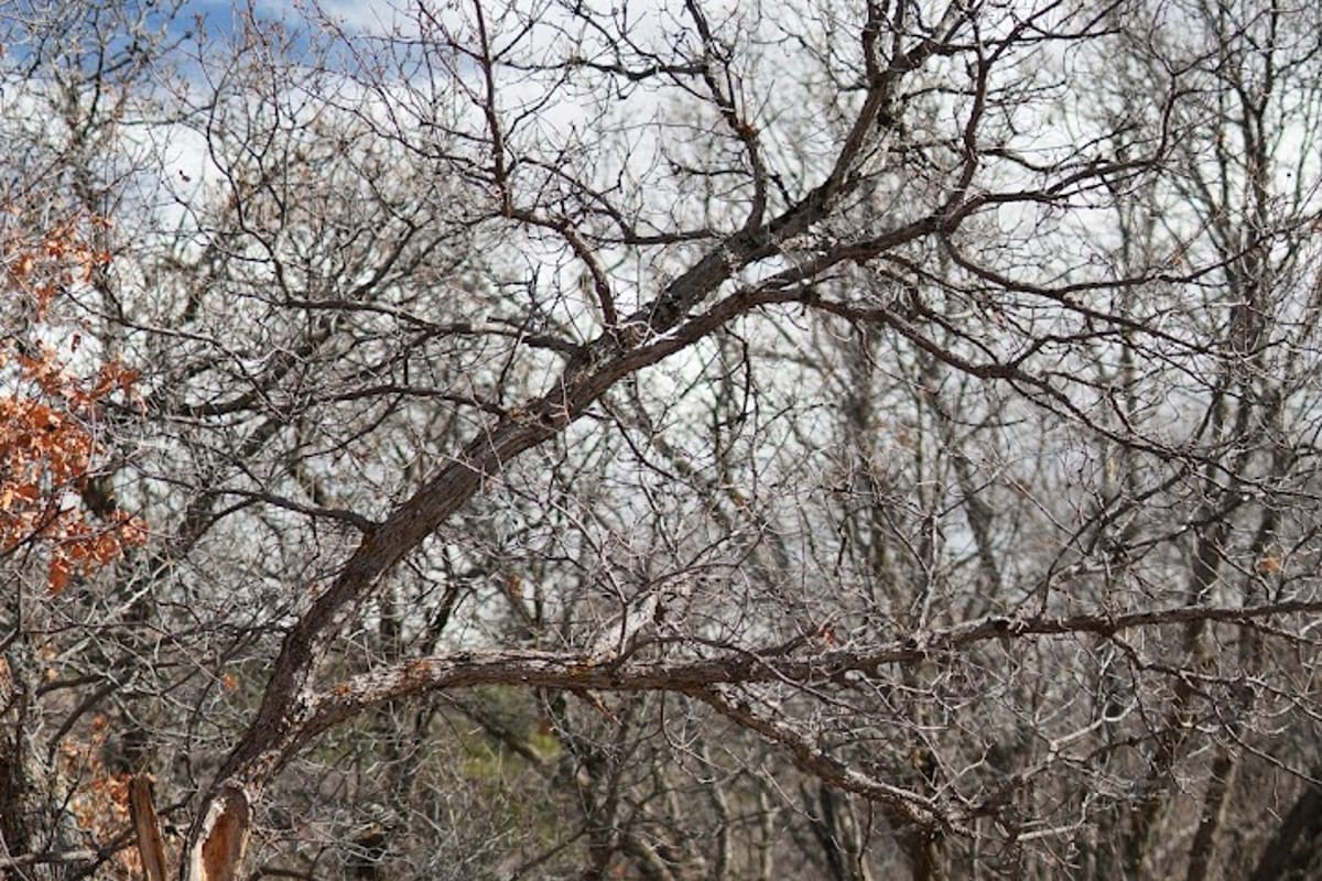 Homestead Trail featured offerings
