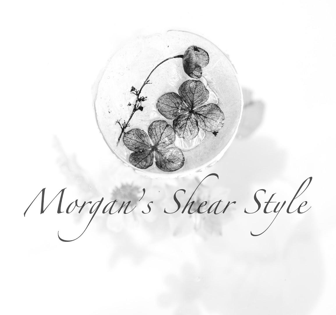 Morgan’s Shear Style salon in Castle Rock, Colorado