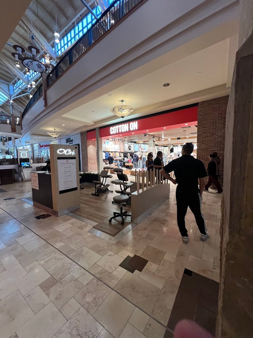 Interior view of Cotton On Park Meadows